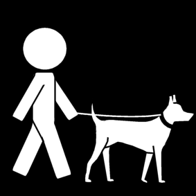 sortir le chien